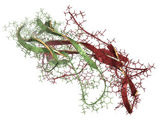 클라인펠터 증후군&amp;#44; 남자가 유방이 나온다면? 대표적인 증상입니다. 클라인펠터 증상은 다양하게 더 있습니다. 어떤 증상과 원인 그리고 진단과 치료에 대해 알아봤습니다. 참고하시기 바랍니다. 