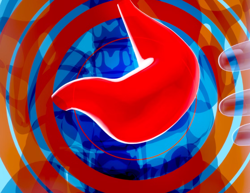 상황버섯 효능 : 간기능