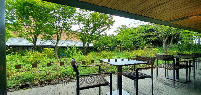 제주 오설록 말차국수를 판매하는 티 테라스 내부 모습이다.