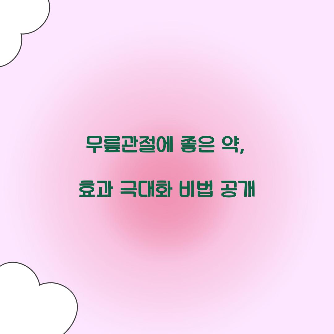 무릎관절에 좋은 약