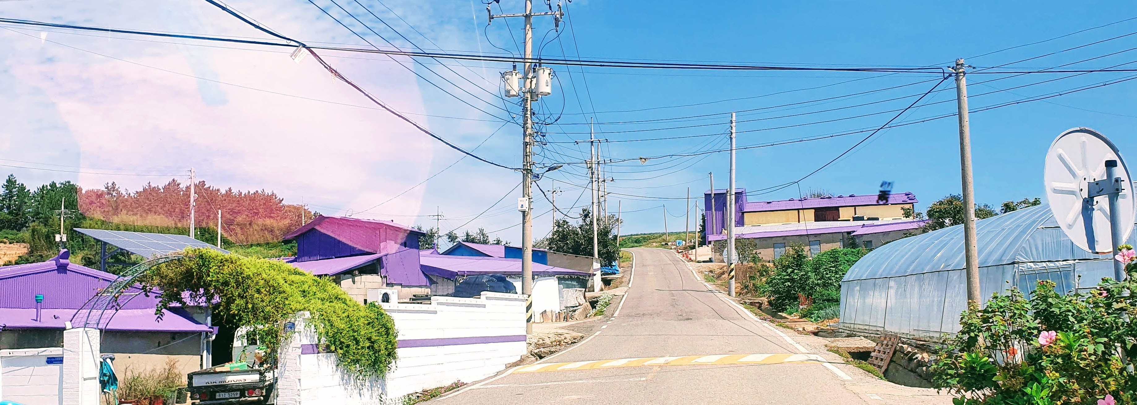 15. 퍼플섬입장료