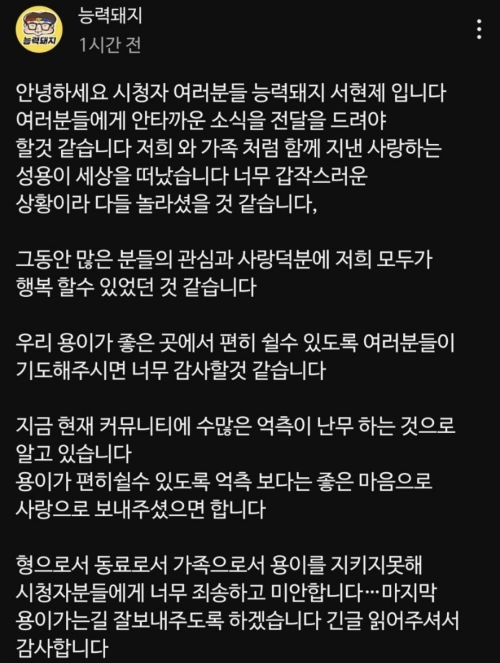 유튜버 성용 사망 원인