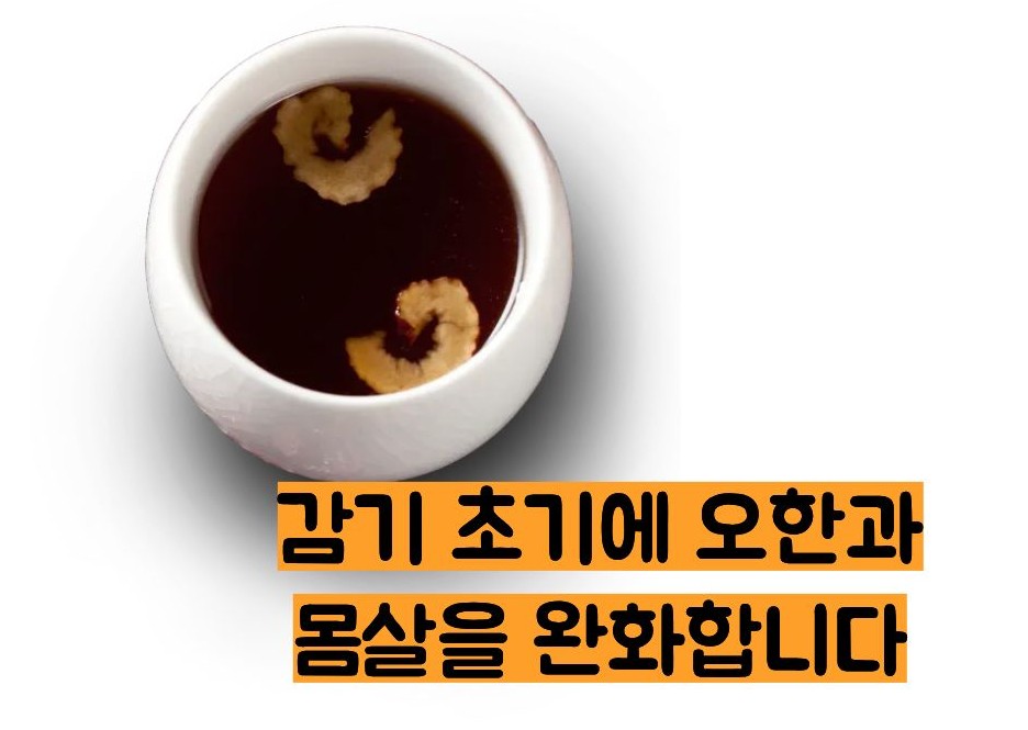 갈근탕 효능