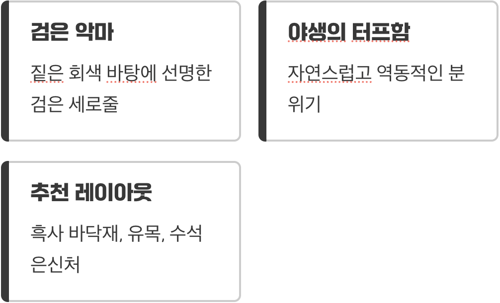 시크한 매력&amp;#44; 블랙 니그로