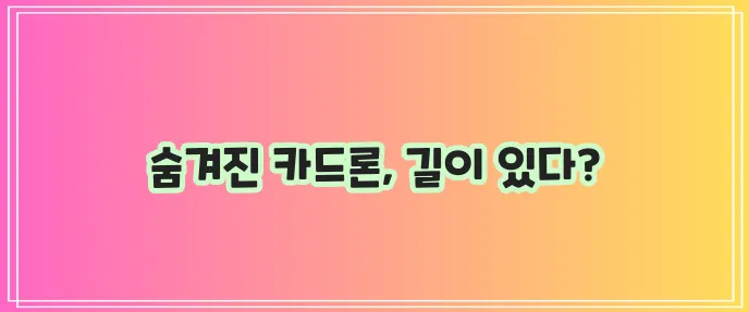 신용등급 낮은 사람을 위한 대안적 장기카드대출