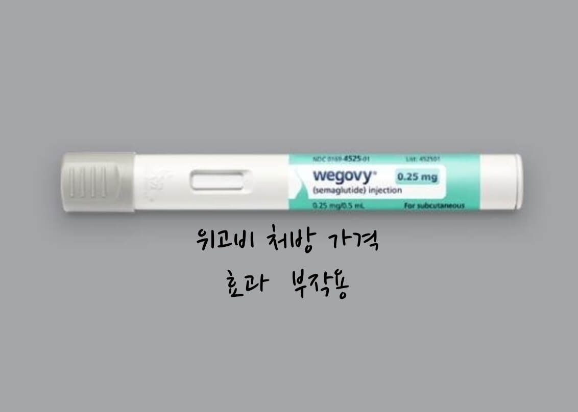 위고비 처방
