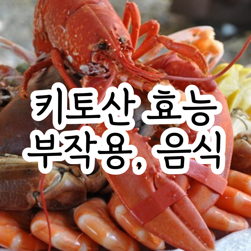 키토산 효능 부작용 복용법 음식