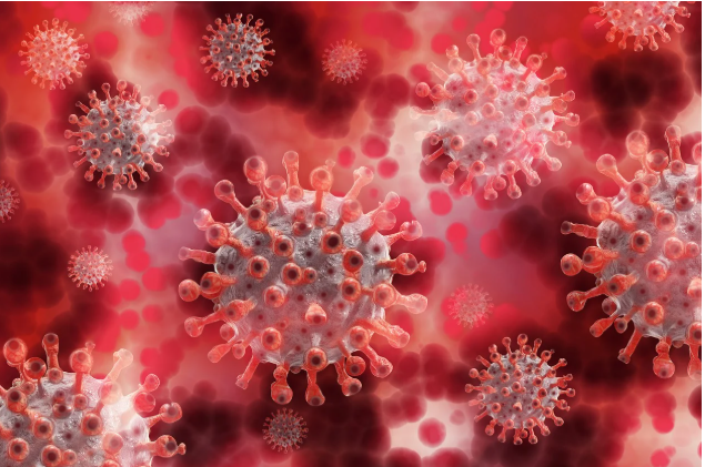 C형 간염 바이러스 관련 사진