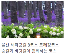 해파랑길 8코스