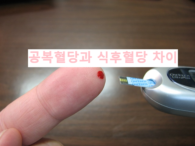 공복혈당과 식후혈당 차이