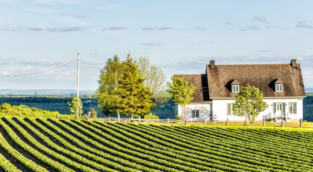 퀘벡 오를레앙 섬