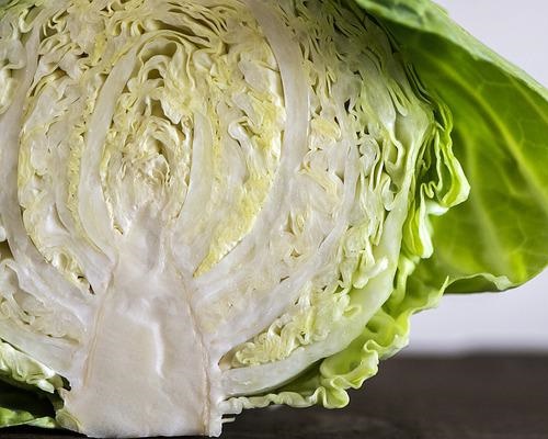 양배추 효능