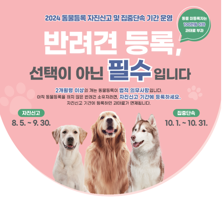반려동물 등록방법 절차안내 100만원이하 과태료