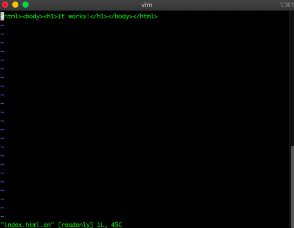 아파치 인덱스 파일