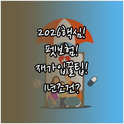 2026년 달라진 펫보험 재가입, 1..