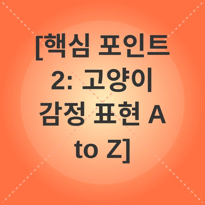 고양이 감정 이해_1