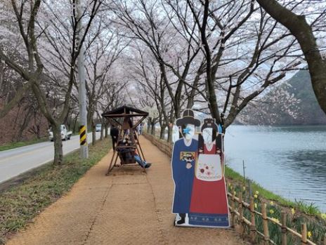 부안 벚꽃 축제