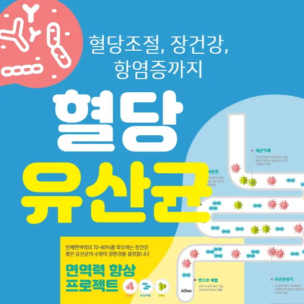 혈당 유산균의 효능