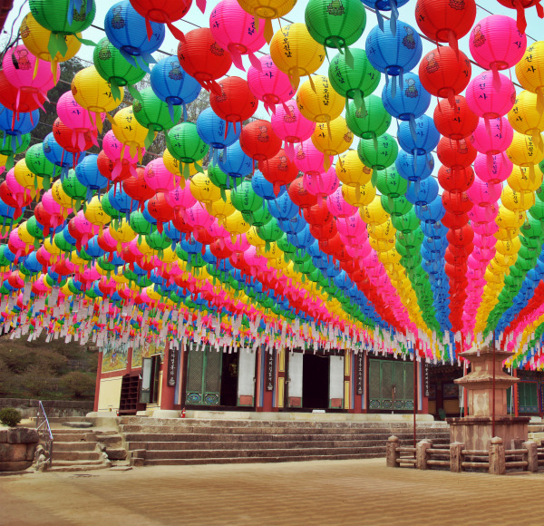 부처님오신날 연등