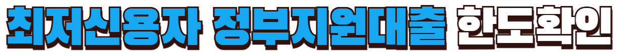 최저신용자 정부지원대출 한도확인