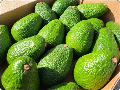 글루타치온 많이든 음식