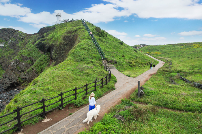 제주 섭지코지 사진