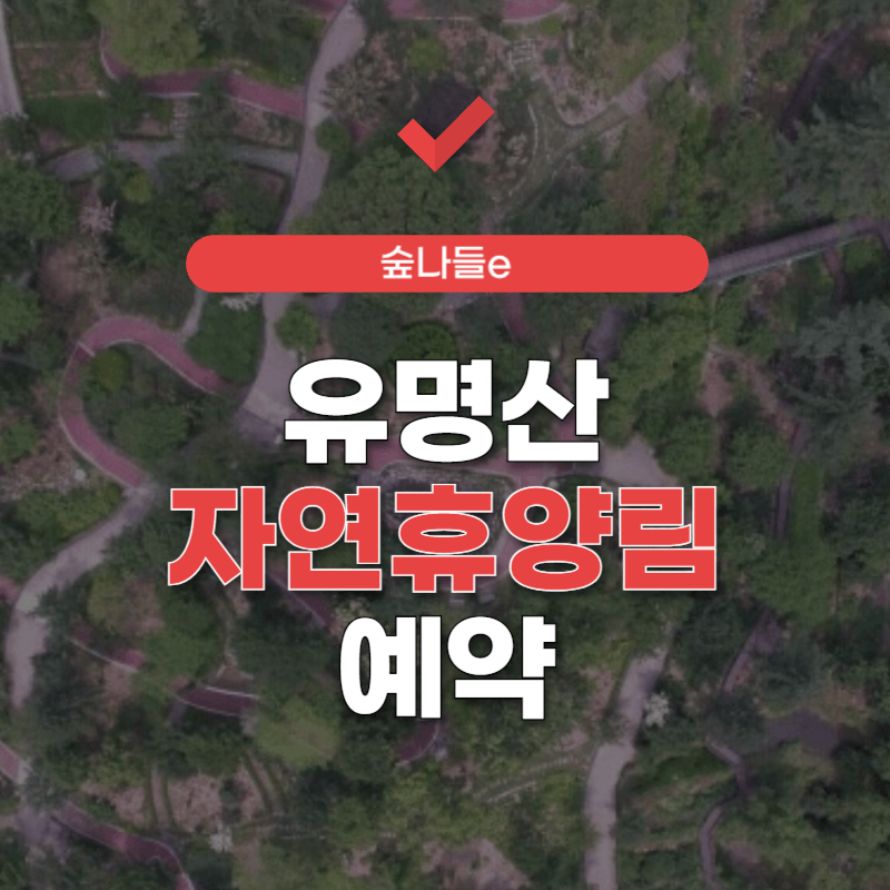 유명산-자연휴양림-예약-썸네일