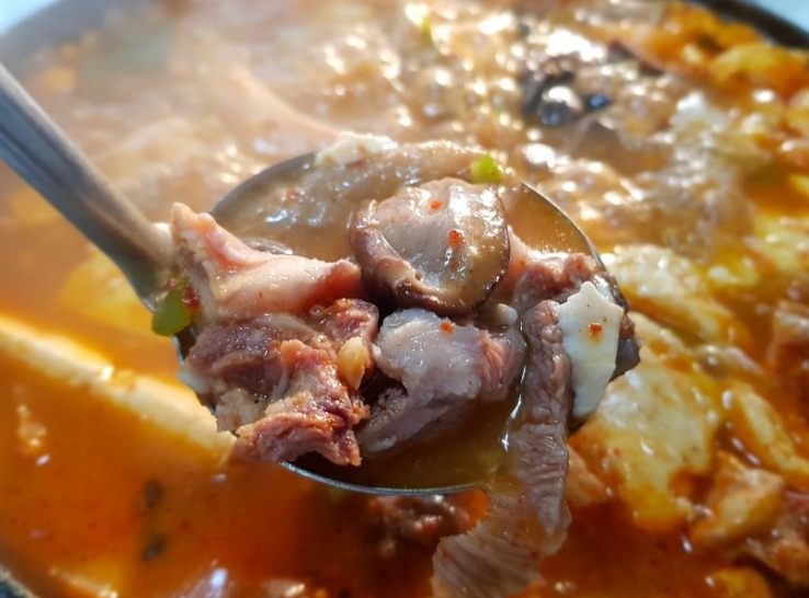 전현무계획 두루치기