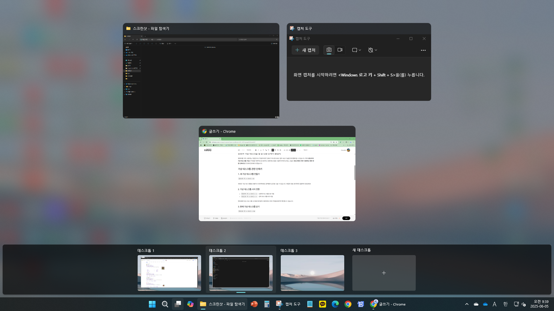 가상 데스크톱 화면 전환 단축키