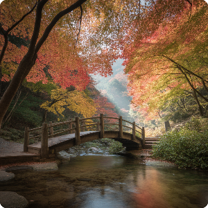 2025년 단풍 절정 시기&middot;명소 이미지