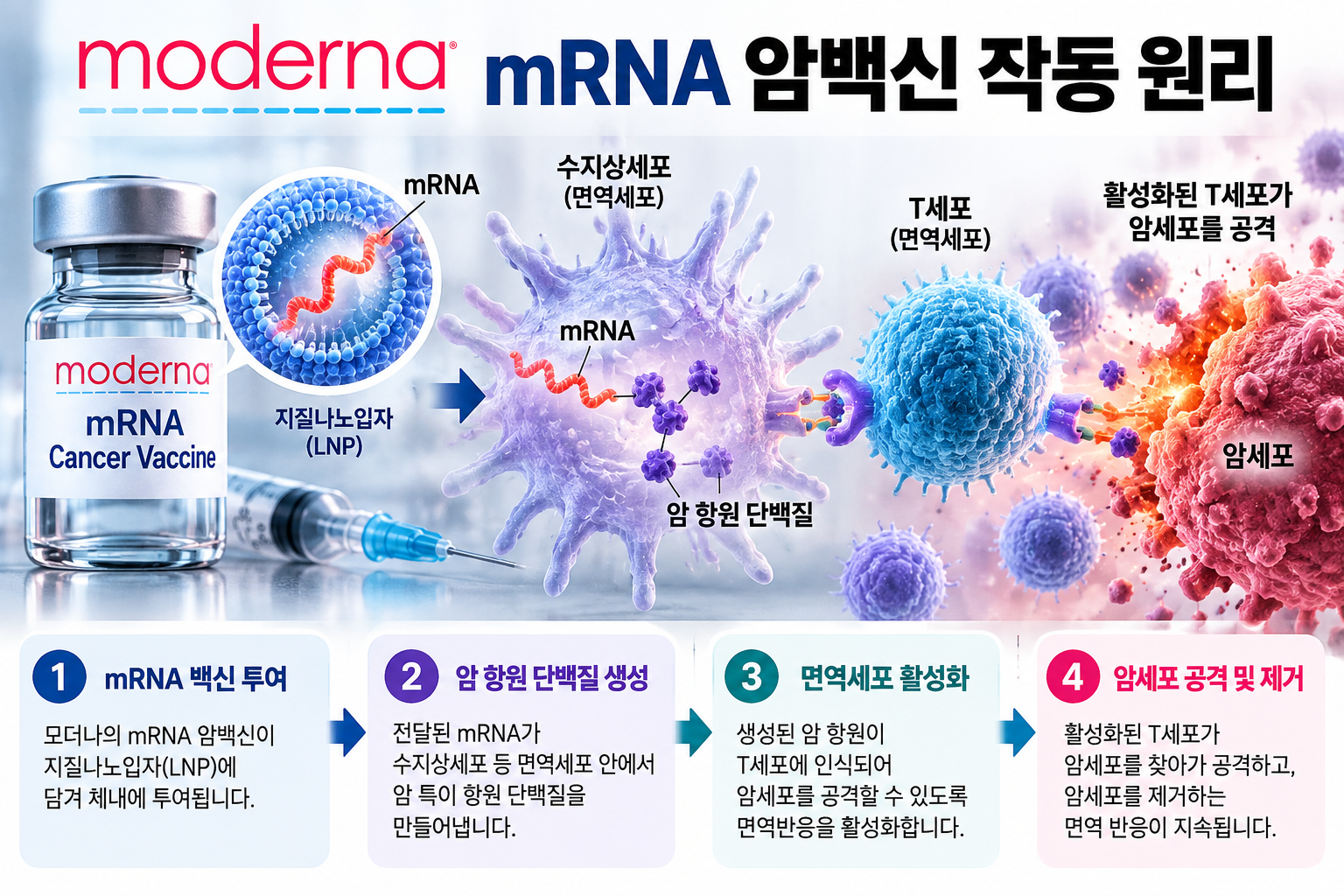 모더나 mRNA 암백신 원리