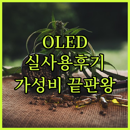 에이서 스위프트 고 14 OLED 디..