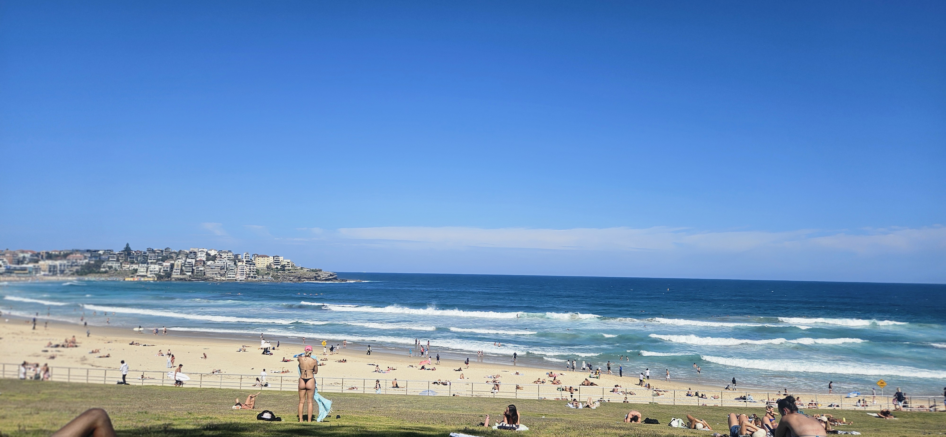 시드니 본다이비치