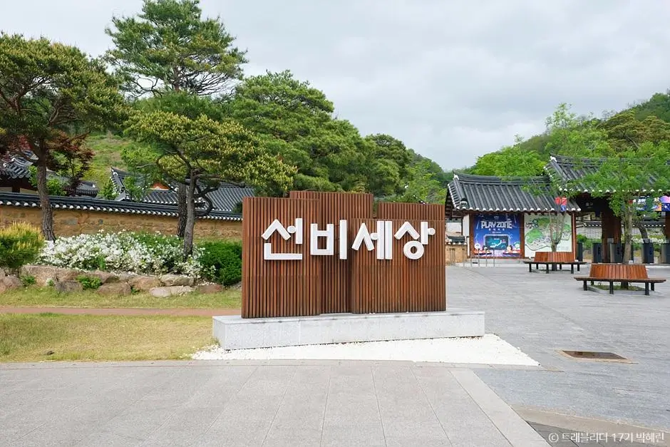 cd3c839d-4218-4519-8589-9fc2aeeb2711