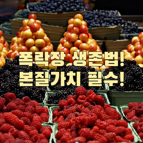 폭락장에서 살아남기 비트코인 본질 가..