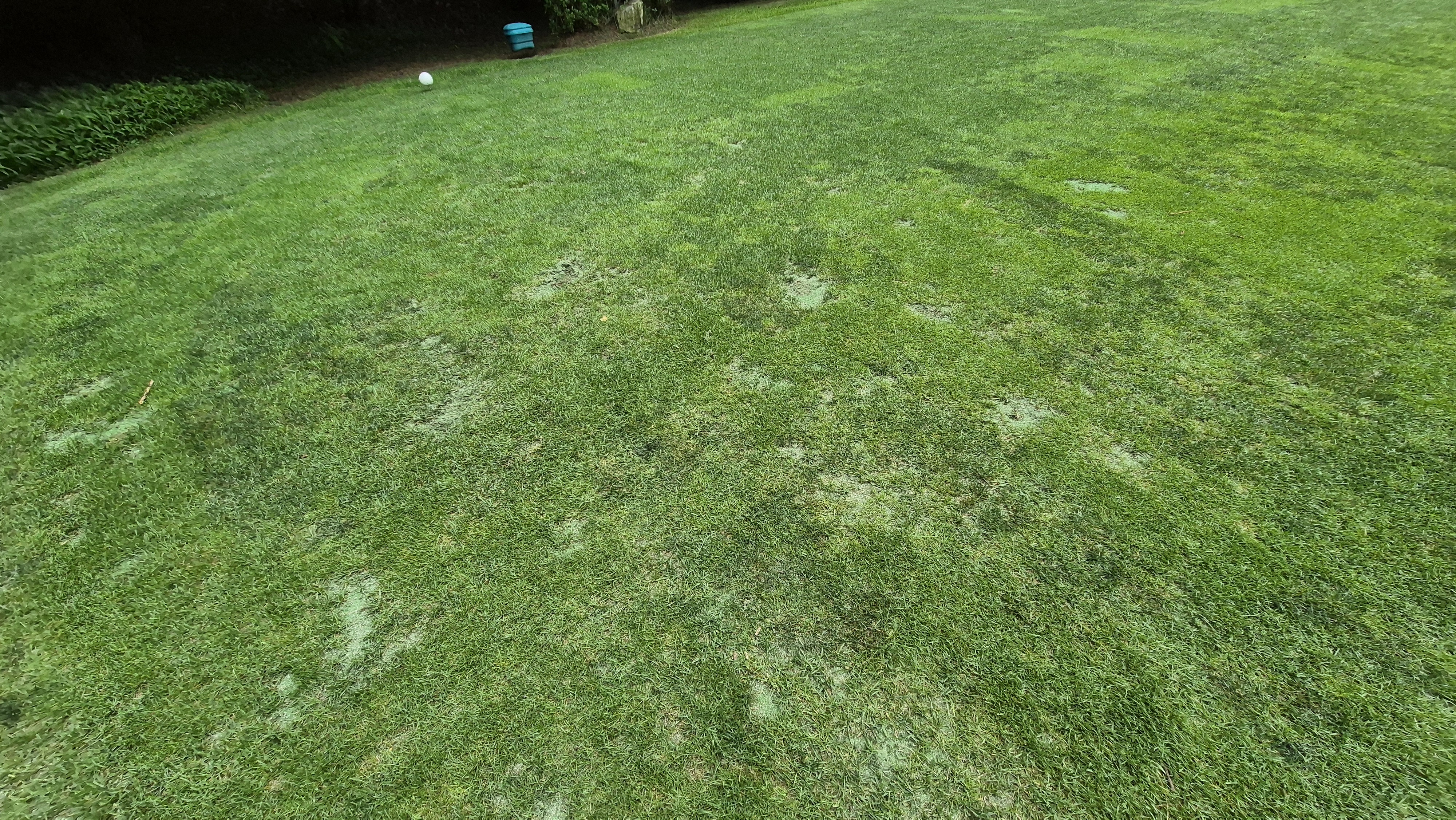 뉴스프링빌cc 라운드 후기