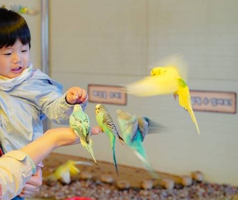 주말 아이랑 가기 좋은 곳 추천 - 안성팜랜드