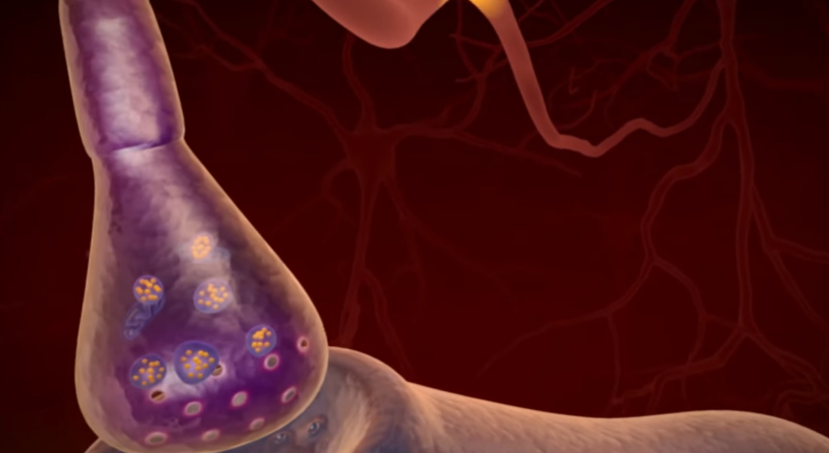 무기력증 자가진단