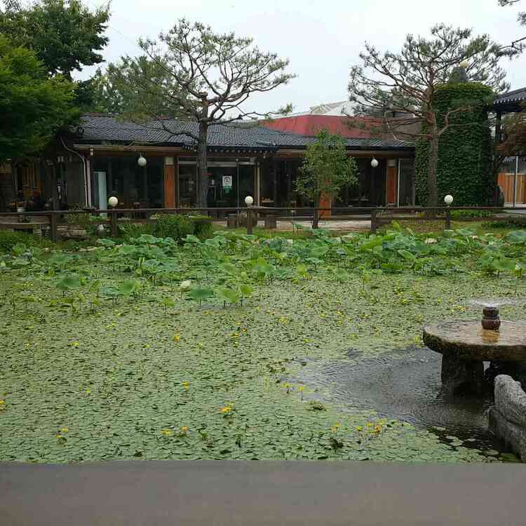 가평 한정식 카페 맛집, 들풀