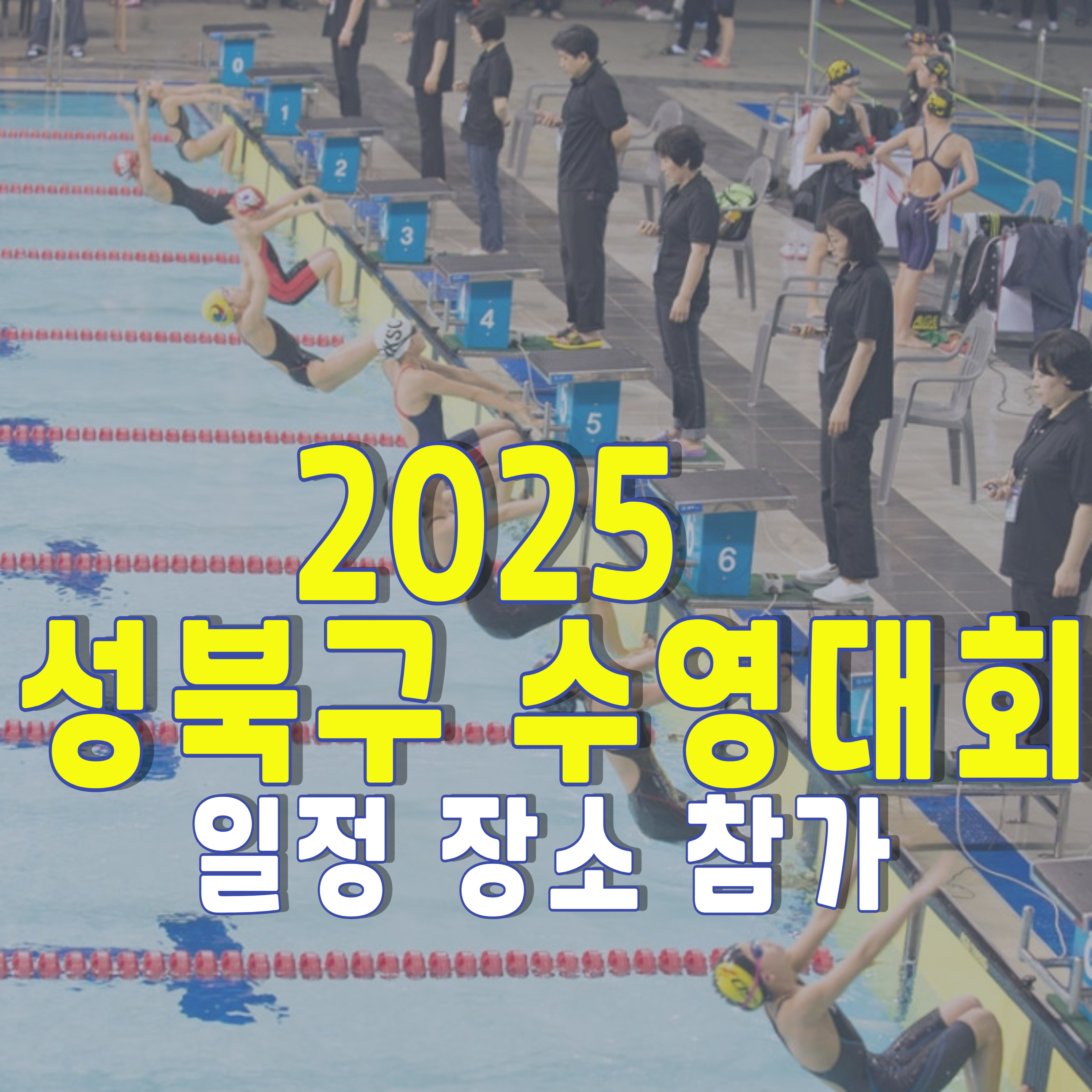 2025-성북구-수영대회-1