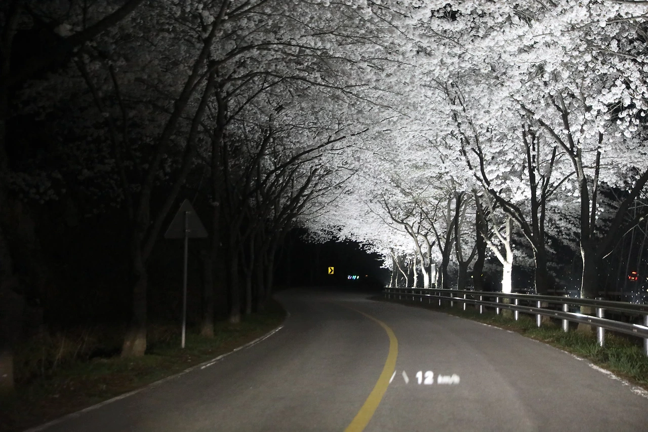 부안 변산해수욕장 오픈바&middot;JAZZ 버스킹&middot;비치 시네마 가이드