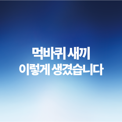 먹바퀴-새끼-성충-비교