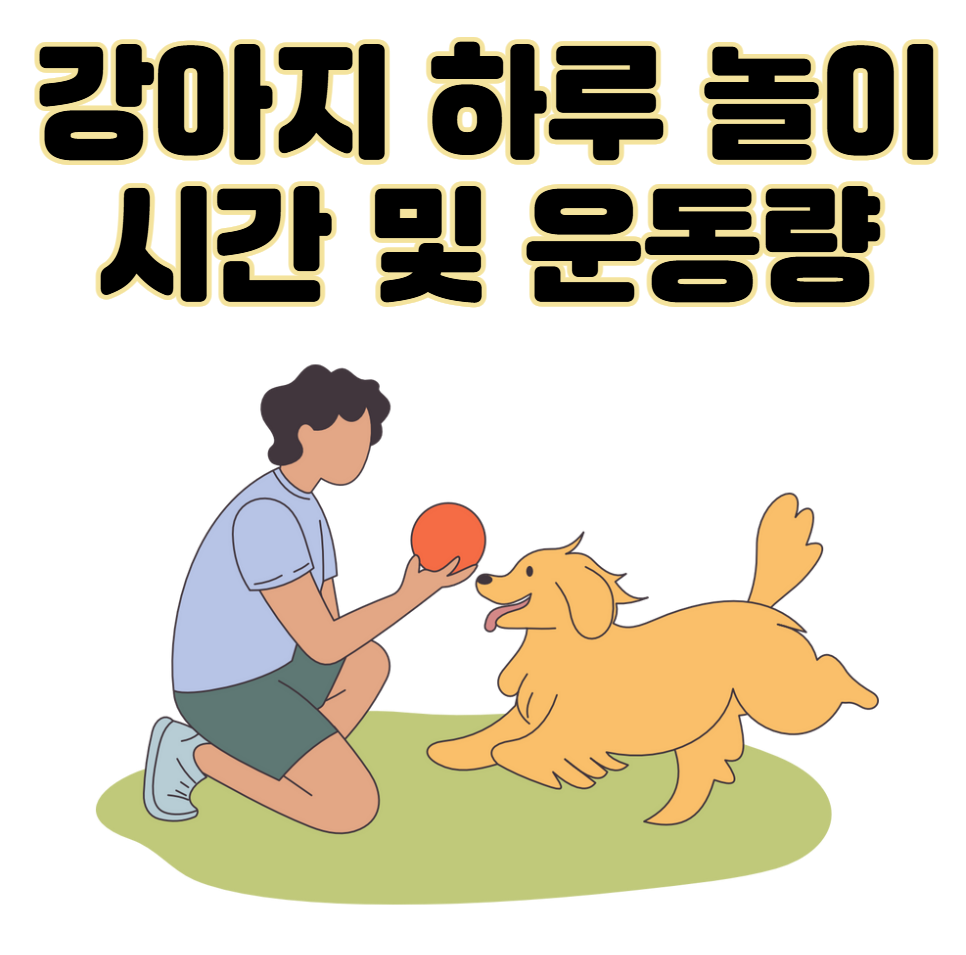 강아지 하루 놀이 시간 및 운동량 기준 [나이, 견종별]