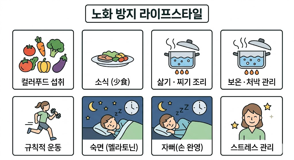 항산화 생활 습관을 8개 칸의 간결한 아이콘으로 정리한 이미지입니다. 컬러푸드 섭취, 소식, 삶기 중심의 조리법과 같은 식단 전략과 규칙적인 운동, 숙면, 스트레스 관리 등 일상에서 실천 가능한 노화 방지 수칙들을 심플한 일러스트와 핵심 키워드로 명확하게 표현했습니다.