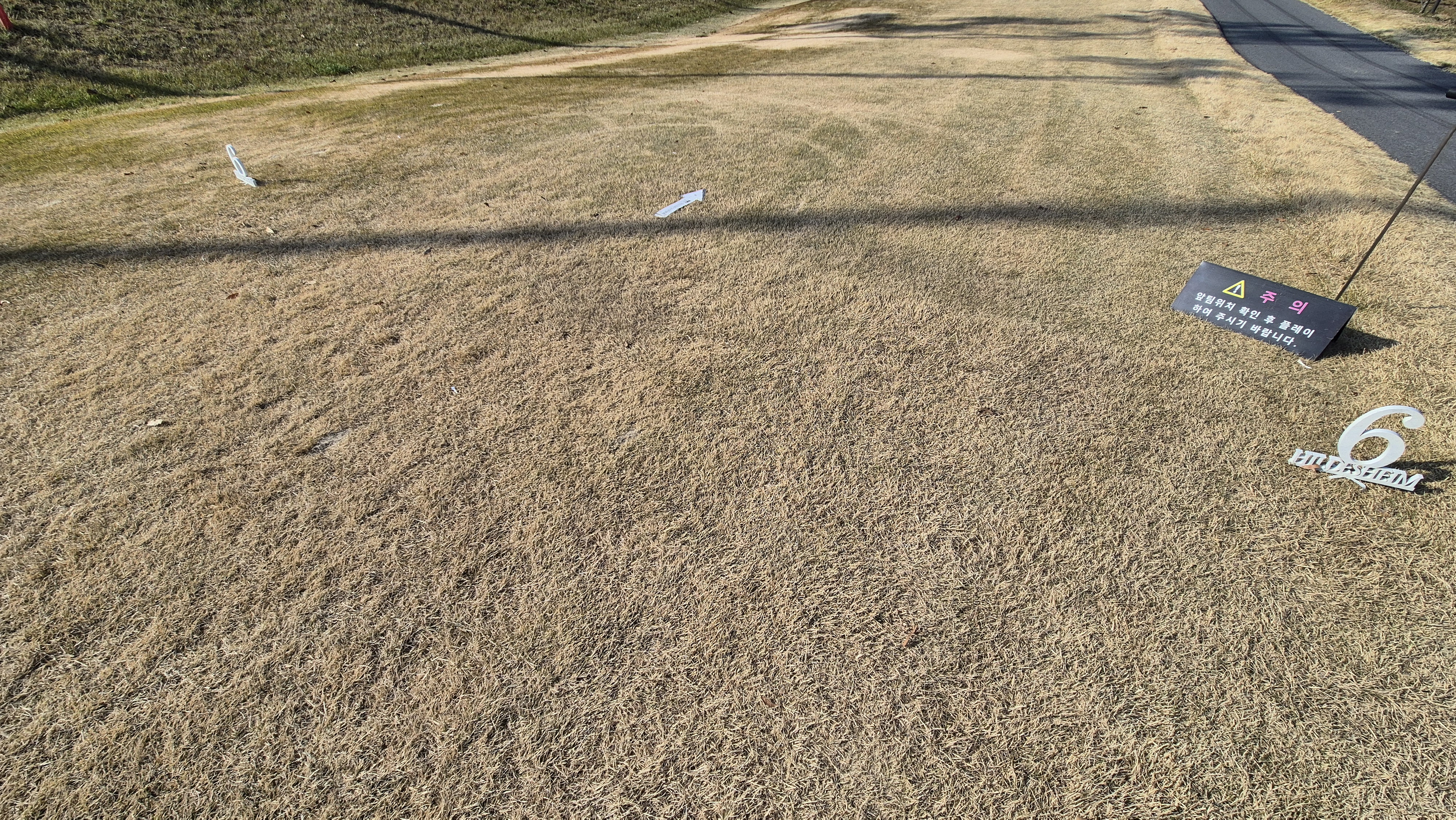 힐데스하임 레이크-힐 코스 티잉구역 상태