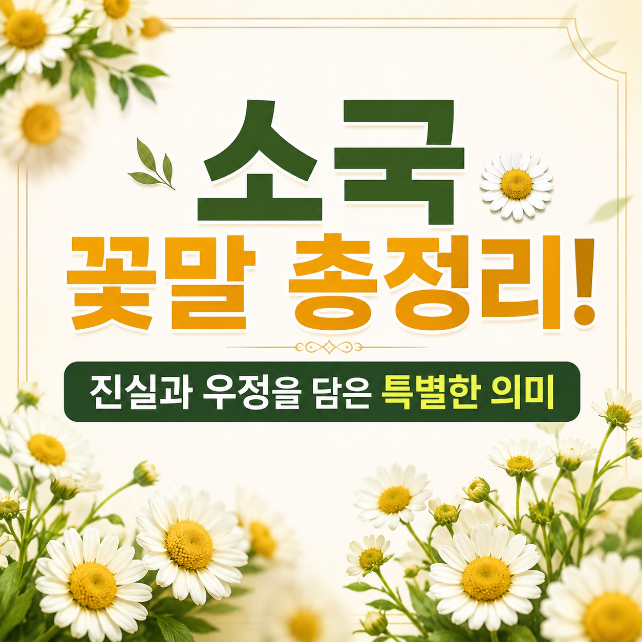소국 꽃말