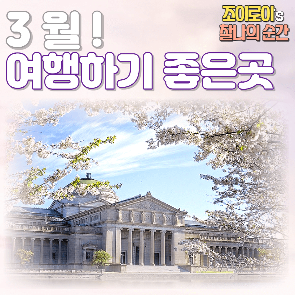 3월 여행하기 좋은 곳