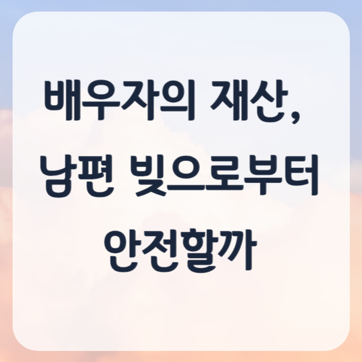 배우자 재산 남편 빚