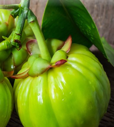 투비컷-효과-효능