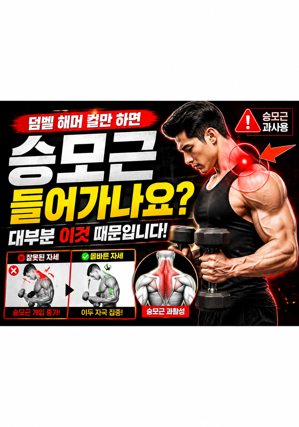 덤벨 해머 컬만 하면 승모근이 들어가나요